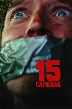 15 камер — постер