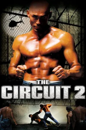 The Circuit 2: The Final Punch — постер