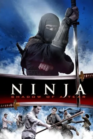 Ниндзя 2 — постер
