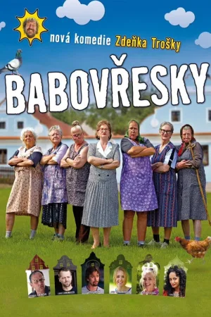 Babovřesky — постер