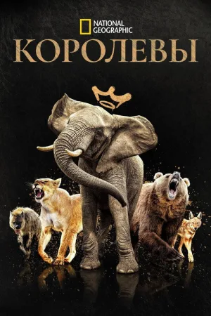 Королевы — постер