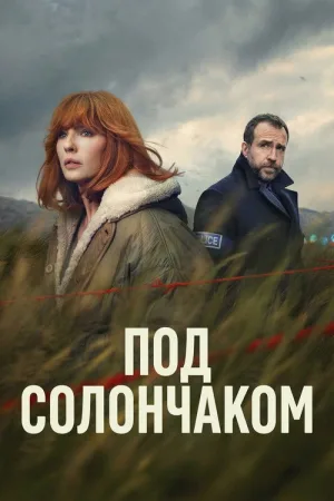 Под солончаком — постер