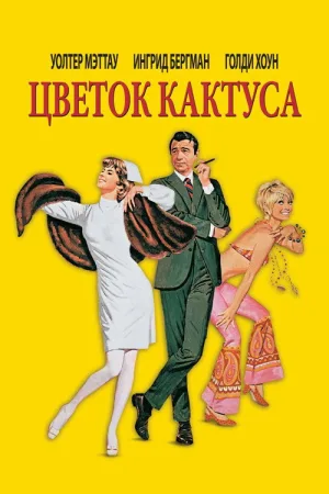 Цветок кактуса — постер