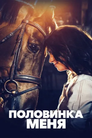 Половинка меня — постер