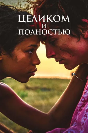 Целиком и полностью — постер