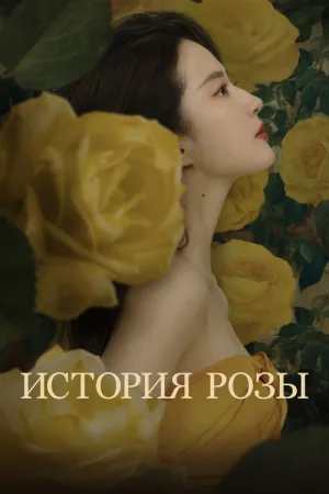 История Розы — постер