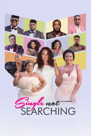 Single Not Searching — постер