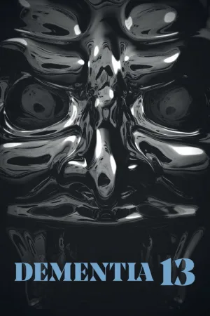 Безумие 13 — постер