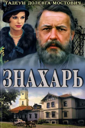 Знахарь — постер