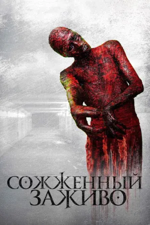 Сожженный заживо — постер