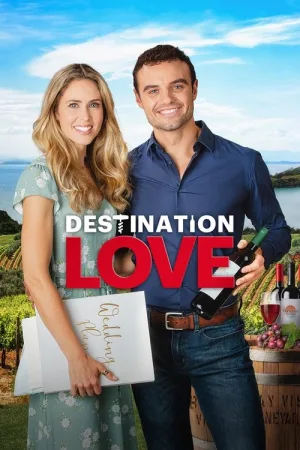 Destination Love — постер
