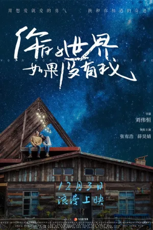 你的世界如果没有我 — постер