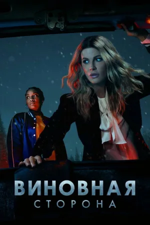 Виновная сторона — постер