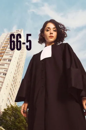 66-5 — постер