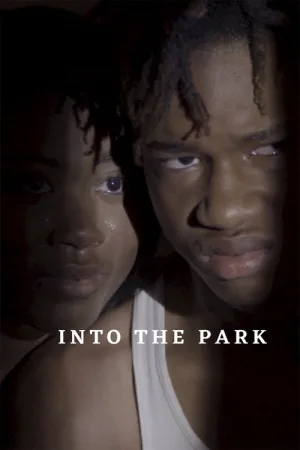Into the Park — постер