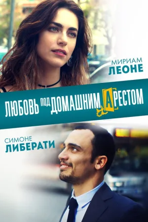 Любовь под домашним арестом — постер