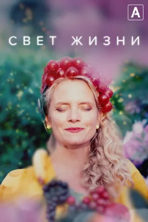 Свет жизни — постер