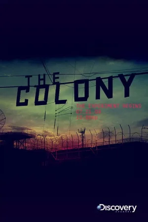 The Colony — постер