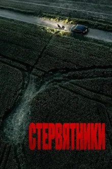 Стервятники — постер