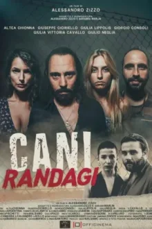 Cani randagi — постер
