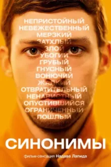 Синонимы — постер