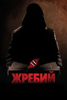 Жребий — постер