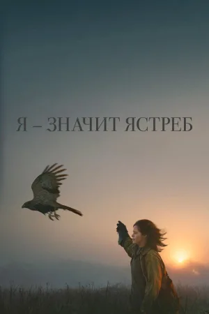 Я — значит Ястреб — постер