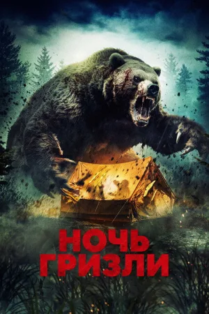 Ночь гризли — постер
