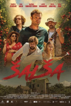 Šalša — постер