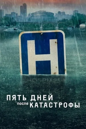 Пять дней после катастрофы — постер
