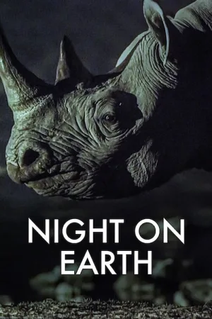 Night on Earth — постер