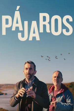 Pájaros — постер