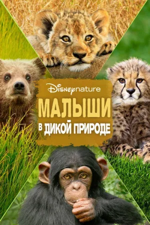 Малыши в дикой природе — постер