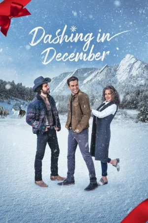 Dashing in December — постер