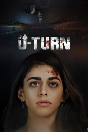 U-Turn — постер