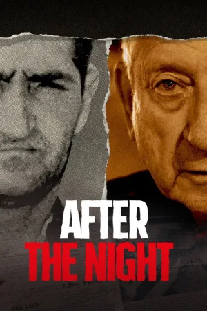 After the Night — постер