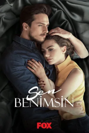 Sen Benimsin — постер
