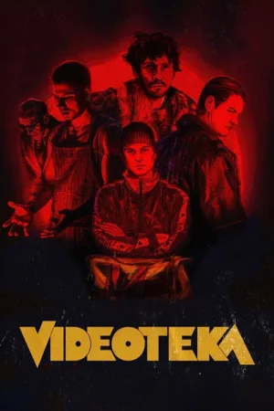 Видеотека — постер