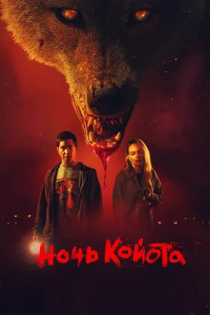 Ночь койота — постер