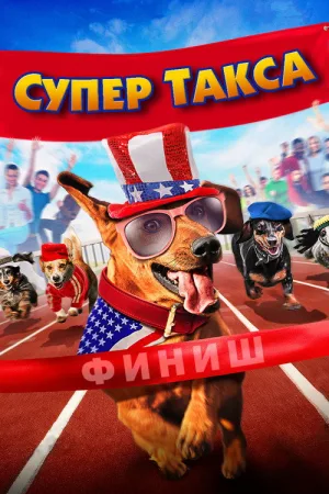 Супер Такса — постер