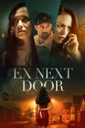 The Ex Next Door — постер