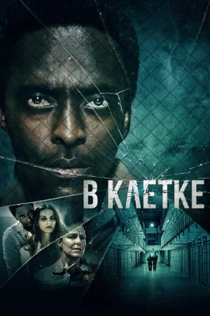 В клетке — постер
