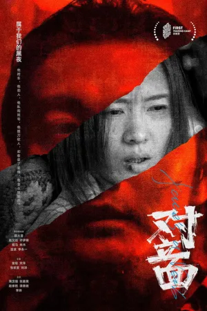 对立面 — постер