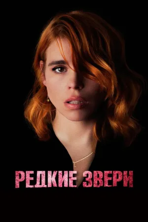 Редкие звери — постер