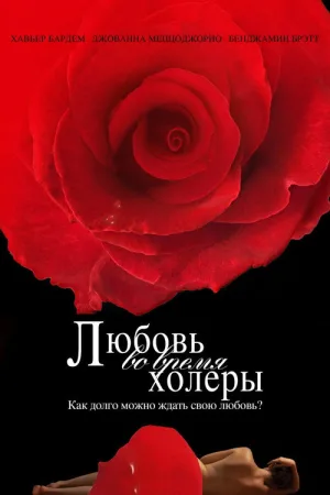 Любовь во время холеры — постер