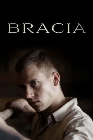 Bracia — постер