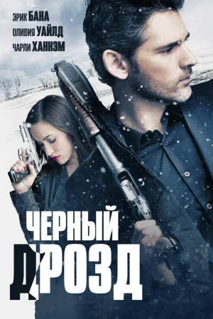 Чёрный дрозд — постер
