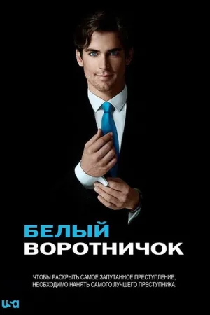 Белый воротничок — постер