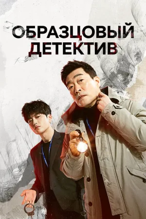 Образцовый детектив — постер