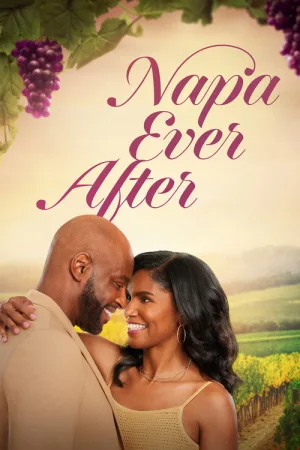 Napa Ever After — постер